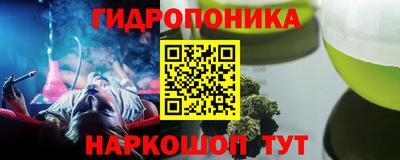 стафф Партизанск