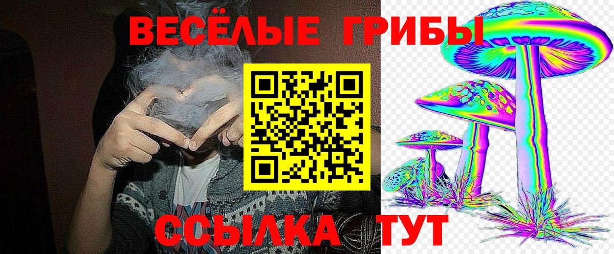 Галлюциногенные грибы Psilocybine cubensis Партизанск