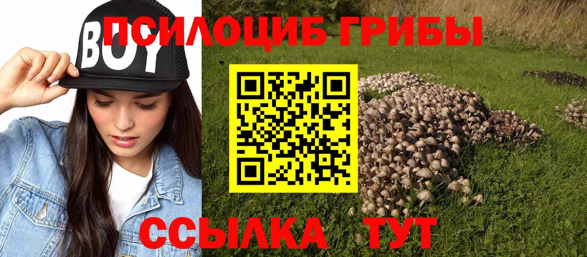 Галлюциногенные грибы мицелий  Вход с VPN  Партизанск 